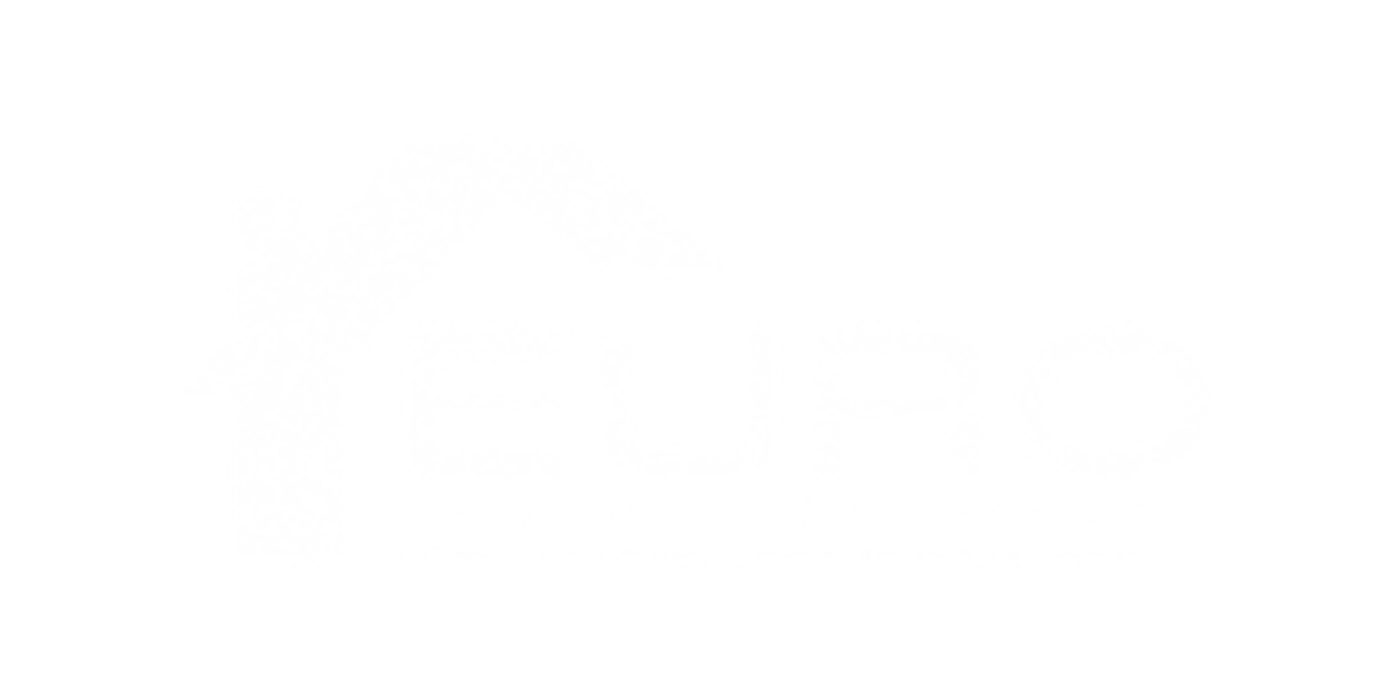 Euro